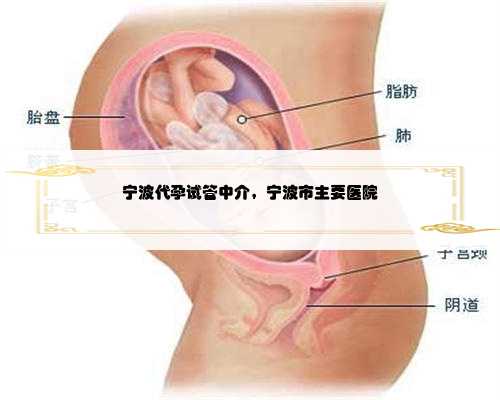 宁波代孕试管中介，宁波市主要医院