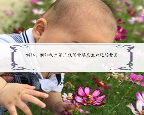 浙江，浙江杭州第三代试管婴儿生双胞胎费用
