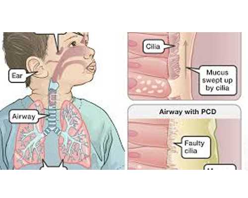 
              温州哪个医院做试管婴儿人工受孕技术好成功率高？
            