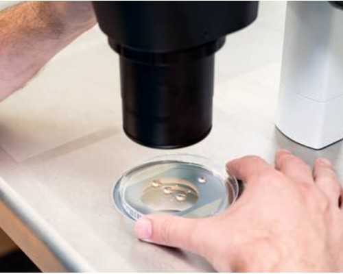 试管婴儿代孕哪个机构好_代孕哪家专业,移植3天的鲜胚几天着床？