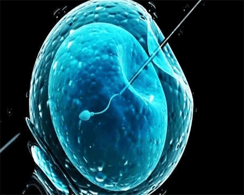 
              2026央视曝光的毒奶粉名单中都有哪些品牌？
            