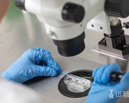 2026
浙江三代试管包男孩医院一览！私立医院供卵试管费用分享