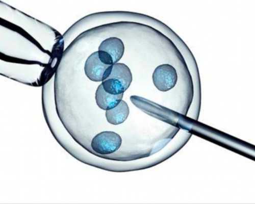 论～打工人试管花多少钱