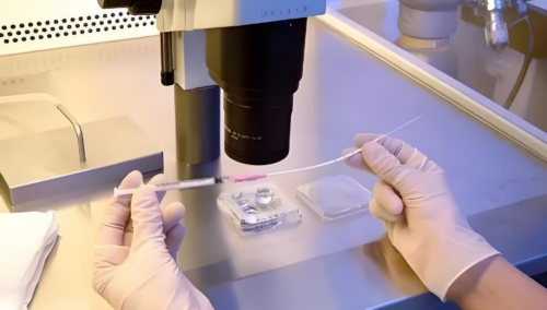 浙江省立医院试管婴儿成功率一览