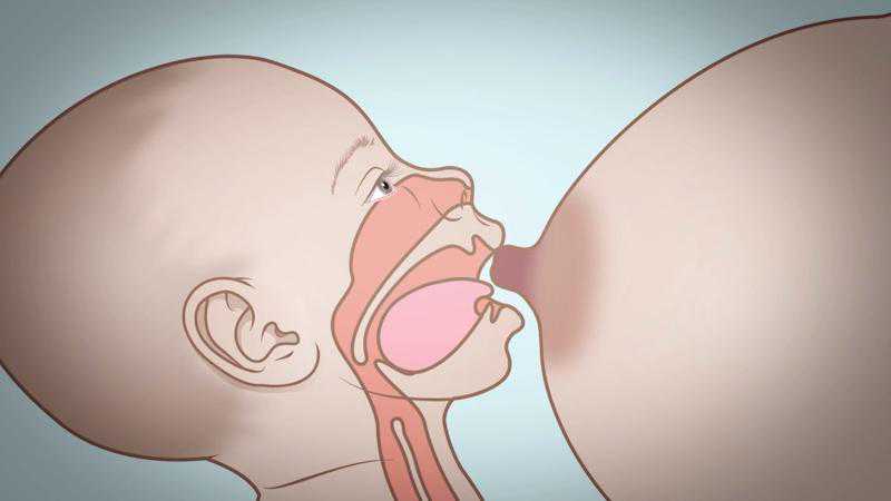 温州试管最佳服务机构排名前三？温州试管婴儿成功率有多少?？