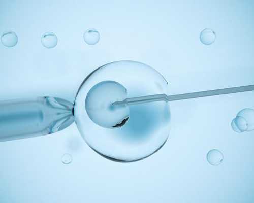 温州试管移植成功率比较好的医院详细排名