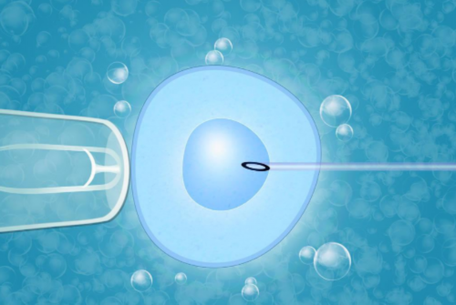 国际供卵_代孕中心哪间权威,卵巢早衰闭经食疗的偏方
