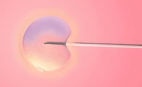 温州三级医院三代试管婴儿价格公告？花费是多少呢？