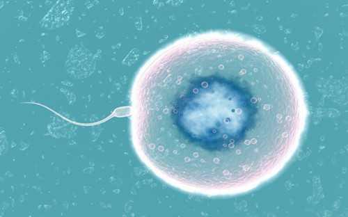 温州做三代试管成功率最高的医院盘点-温州试管婴儿成功率有多少?！