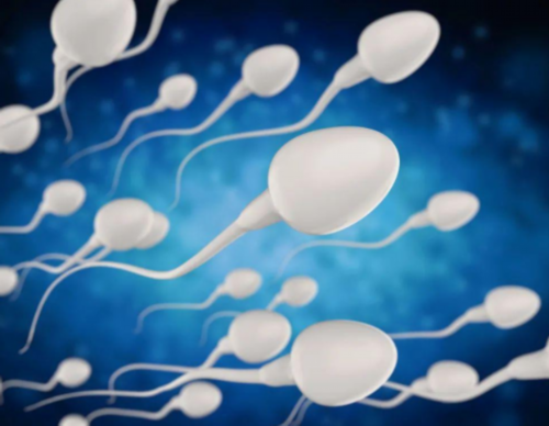 西藏子宫肌瘤导致出血：子宫肌瘤为何会出血