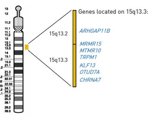 温州哪里有做试管婴儿的医院行内秘密-温州哪个医院做试管成功率高