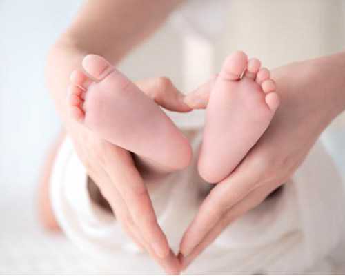 浙江供卵试管：浙江做试管婴儿哪个医院成功率最高？