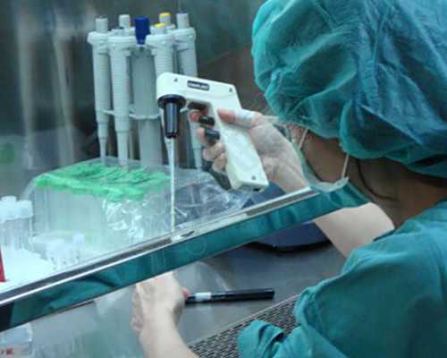 胚胎移植手术 试管胚胎养囊的成功率