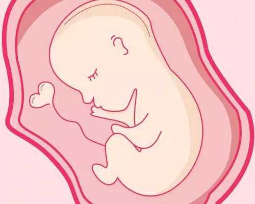 温州附二医试管群(2026
年温州附二医可以做三代试管吗)