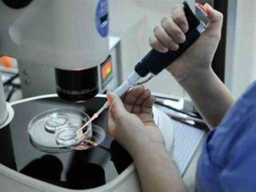 温州医院试管费用一览[浙江 温州医院试管攻略 ]