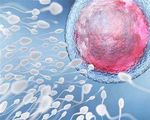 供卵助孕服务，孕酮低对胎儿的影响有哪些