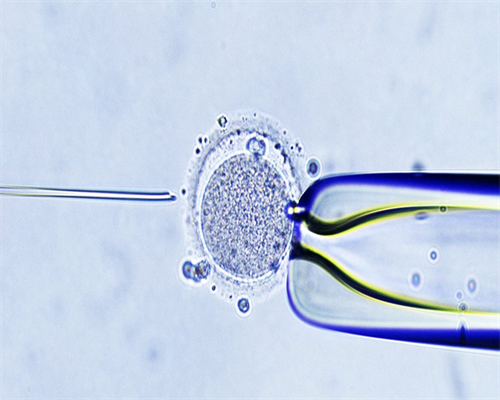 2026年奶瓶十大排行榜，一文让你知晓哪个最好